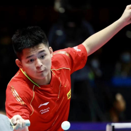 不仅挽救了 不仅挽救了